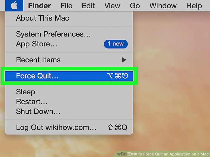 Force quit app terminal mac